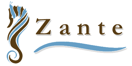 zante logo